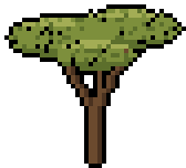 A flat-topped dry-country tree