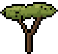A small dry-country tree